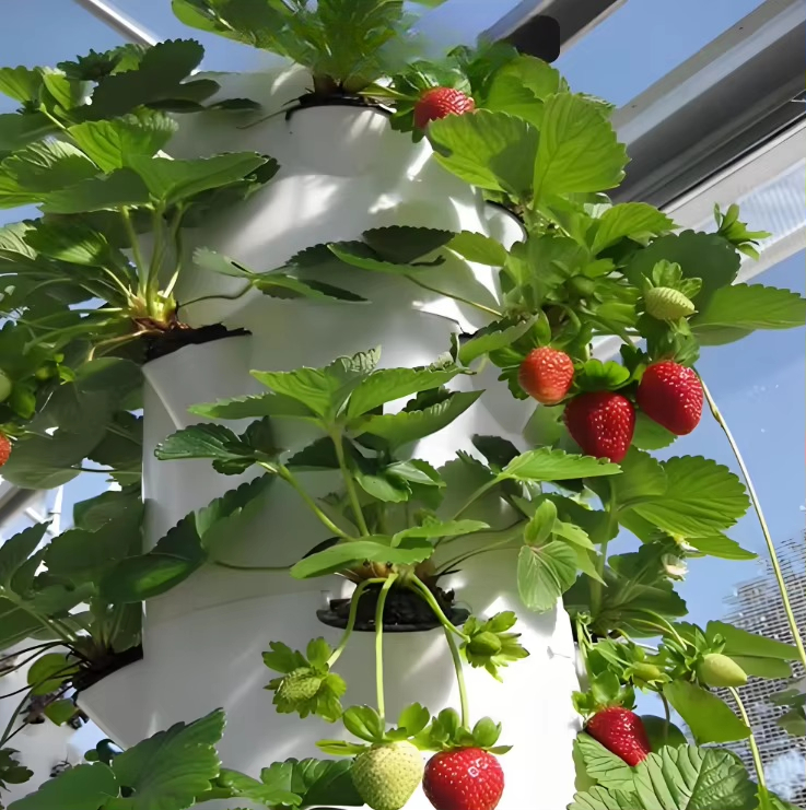 Modular hydroponic growth wall - огляд і ціна Urban Farming Wall